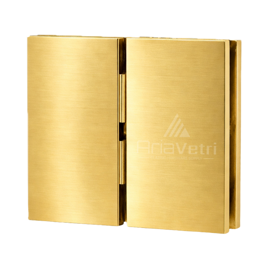 AC2 Cardiff Glass to Glass pivot Hinge