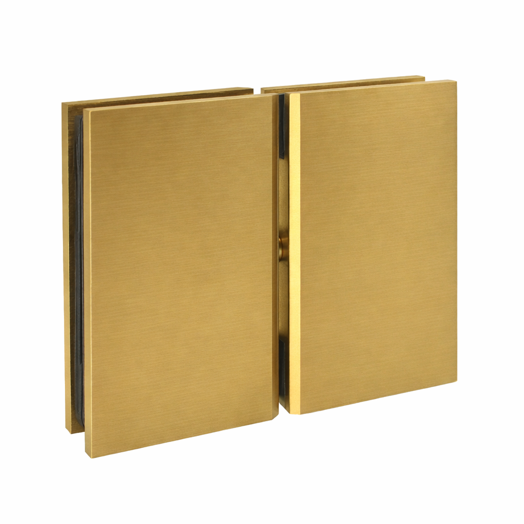 AC2 Cardiff Glass to Glass pivot Hinge