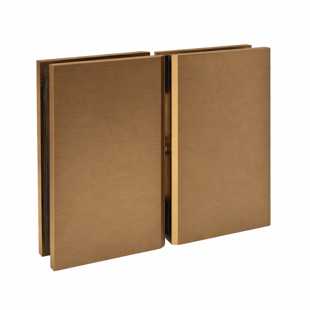 AC2 Cardiff Glass to Glass pivot Hinge