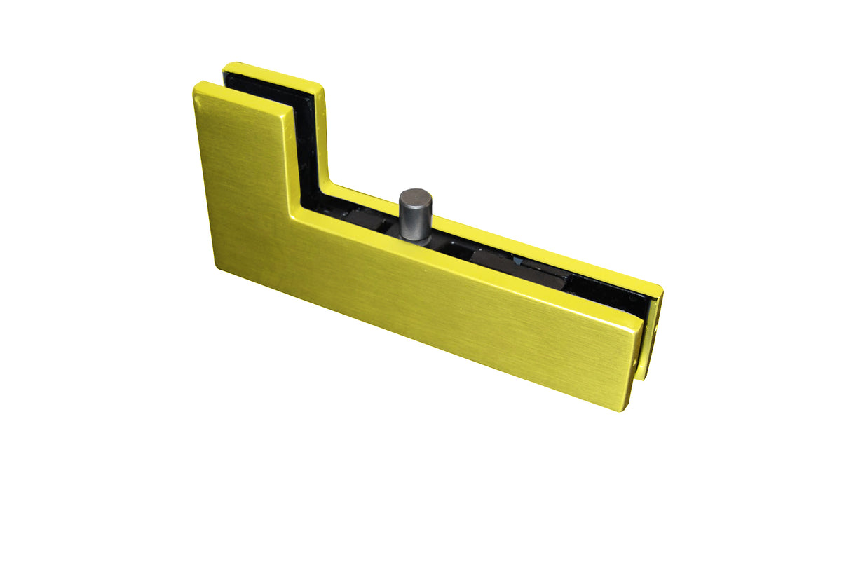 CAS44010 Sidelite Patch Fitting with Cover Plate and Insert