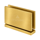 AC1 Cardiff Top and Bottom Pivot hinges