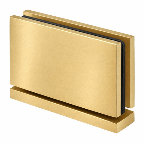 AC1 Cardiff Top and Bottom Pivot hinges