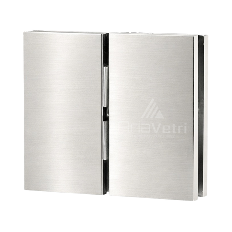 AC2 Cardiff Glass to Glass pivot Hinge