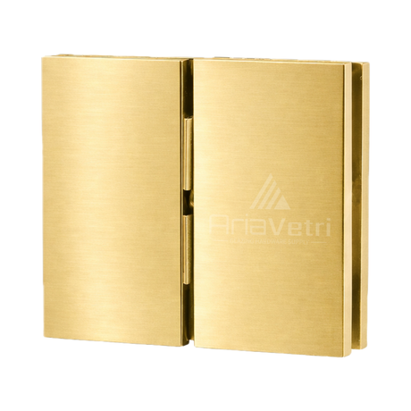 AC2 Cardiff Glass to Glass pivot Hinge