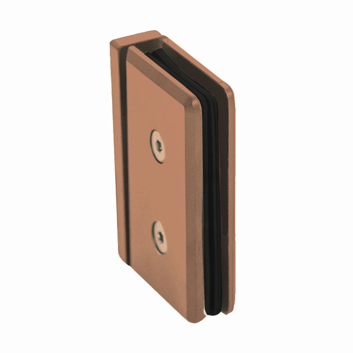 AP1 Porto Top and Bottom Pivot Hinges