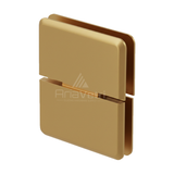 AP2 Porto Glass to Glass Pivot Hinge