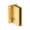 AS037 Wall mount Windsor Square Hinge