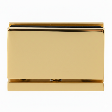 ASRC1 Senior Heavy Duty Cardiff Top and Bottom Pivot hinges