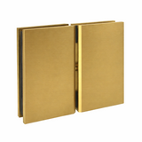 AC2 Cardiff Glass to Glass pivot Hinge