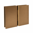 AC2 Cardiff Glass to Glass pivot Hinge