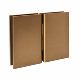 AC2 Cardiff Glass to Glass pivot Hinge