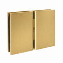 AC2 Cardiff Glass to Glass pivot Hinge