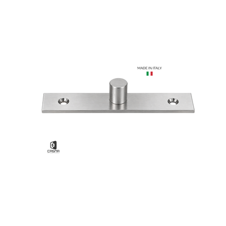 CAS10170 Top Center Free Swinging Pivot