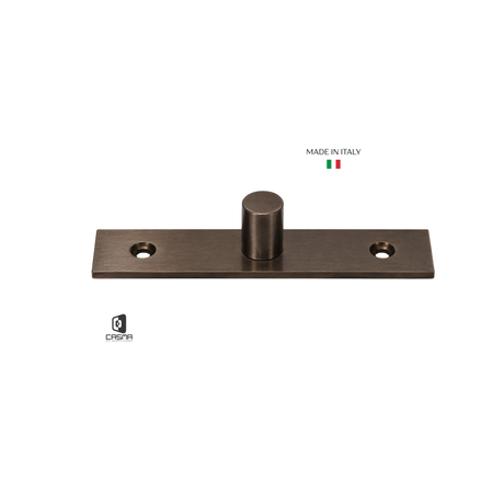 CAS10170 Top Center Free Swinging Pivot