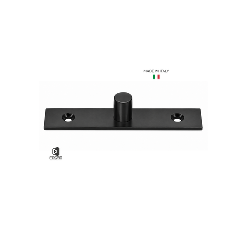 CAS10170 Top Center Free Swinging Pivot