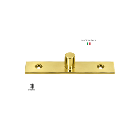 CAS10170 Top Center Free Swinging Pivot